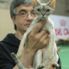 Ротенфельд Александр